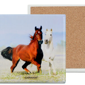 8da8be3ceaacce29a868cdeb64870f32