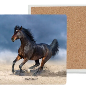 48ac0ec494bc0e2cfad45d43f65993b6