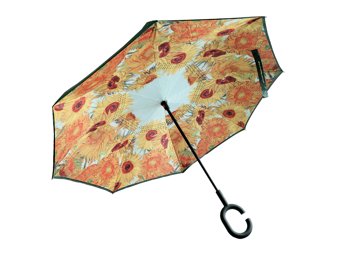 6210aa6e904eacb4de87e5ca7add55e3