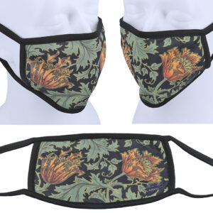 d8904c90892988ab2405b92a77612792