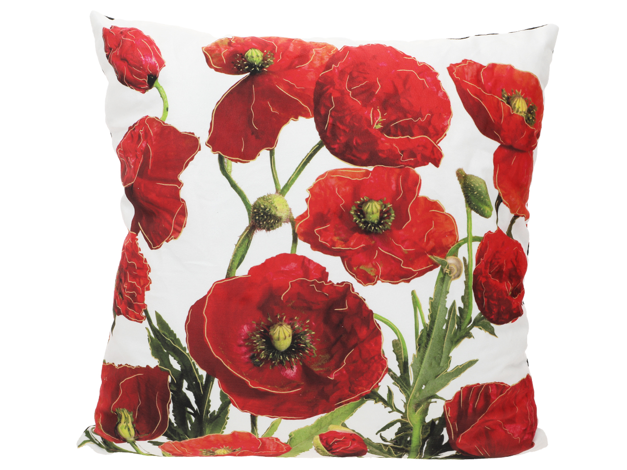 5bf485c26148103e6d758c6ea939da1b