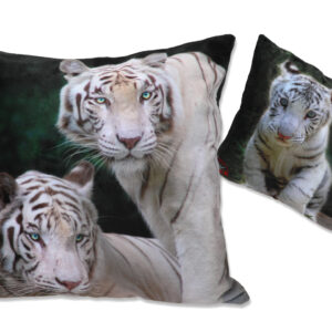 cfe3b4258828520aefd63a09f943cb38