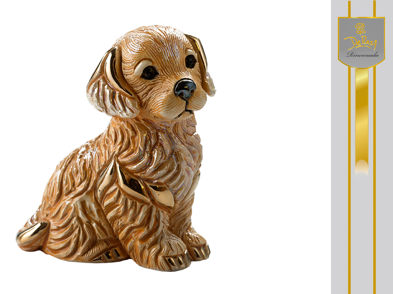 00dc05bbbeeb89ea1be1ac9ac3fe1c82