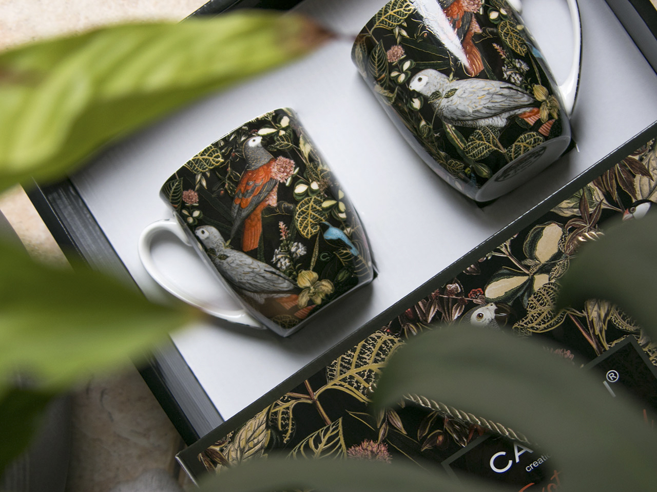 104ef08ca73f773309c20a2fe5850641